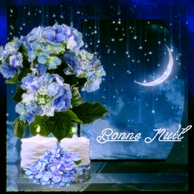bonne nuit fleurs et lune
